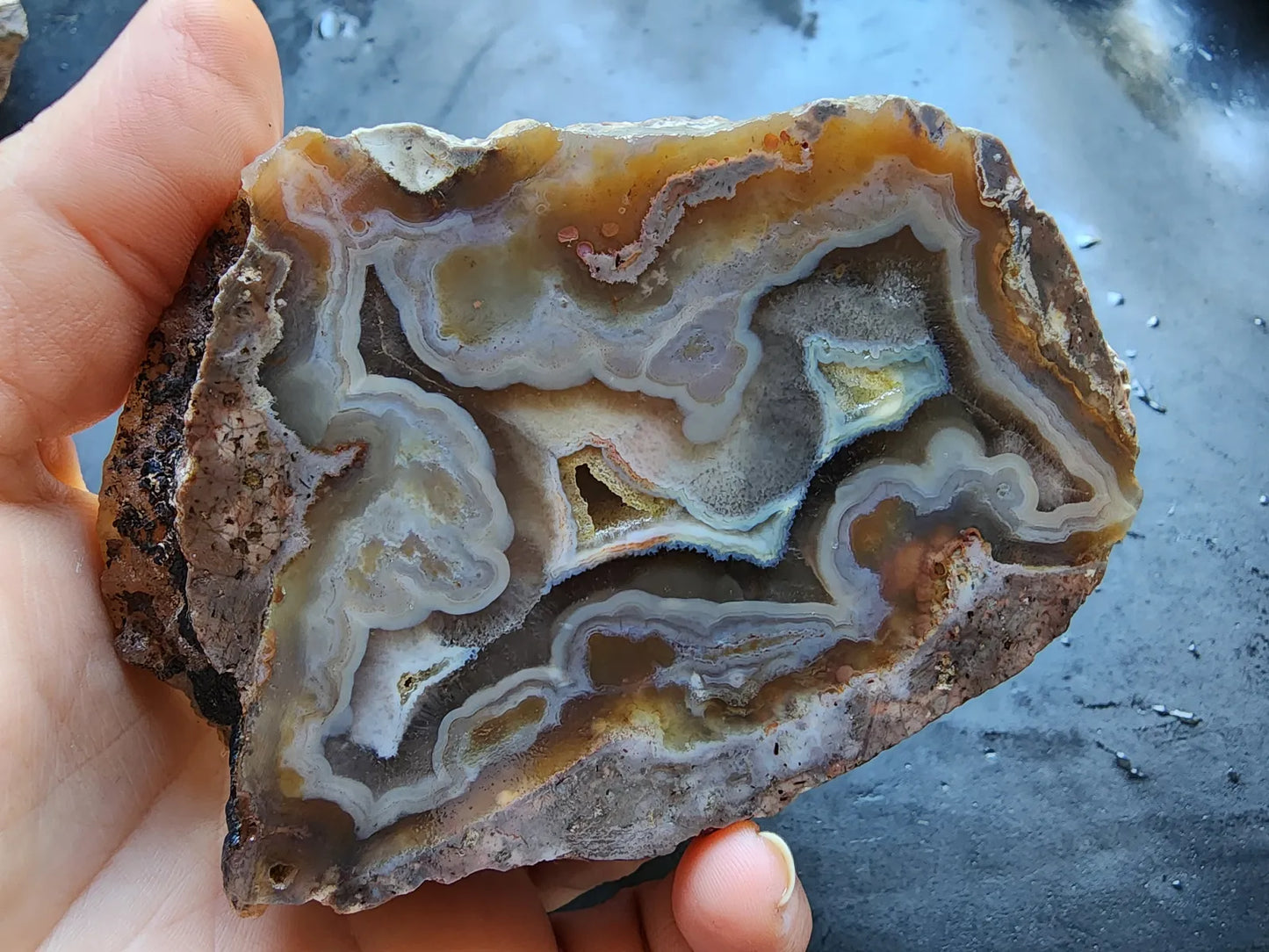 Picasso Portrait - Thunderegg