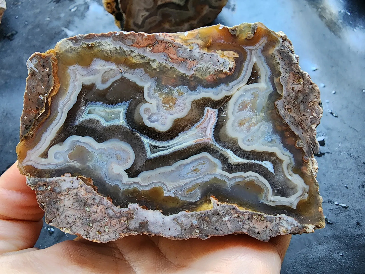 Picasso Portrait - Thunderegg