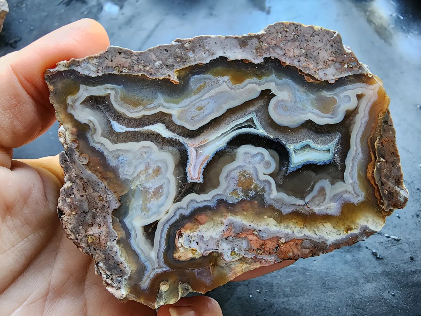 Picasso Portrait - Thunderegg