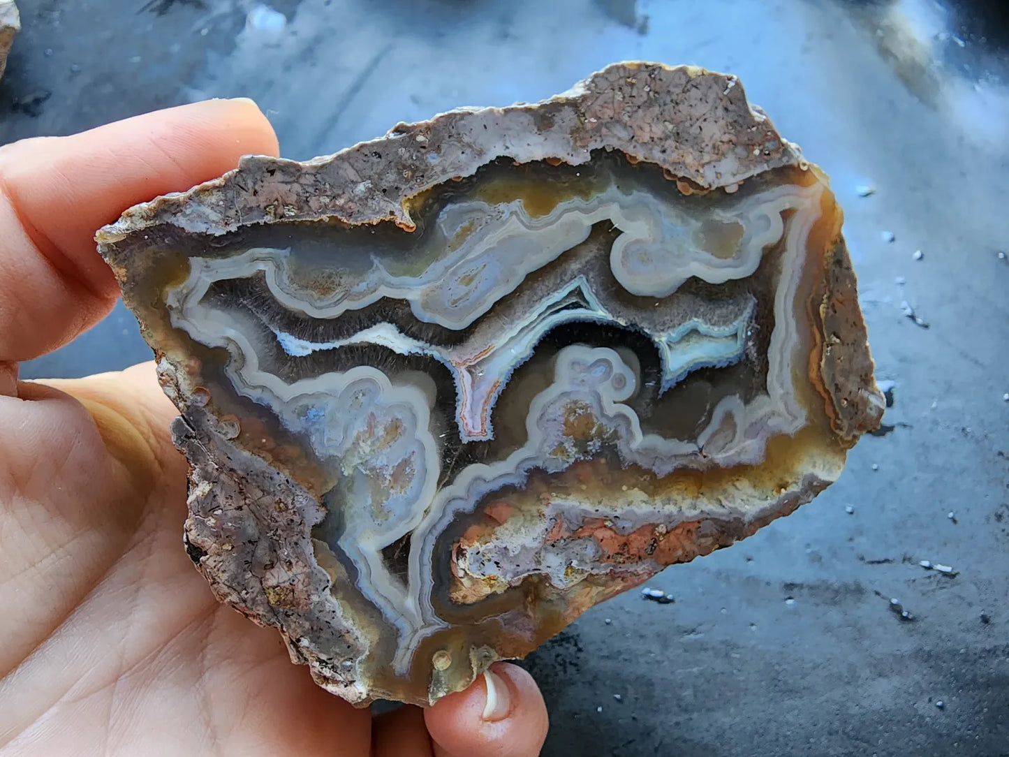 Picasso Portrait - Thunderegg
