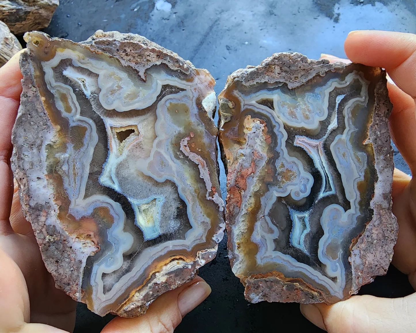 Picasso Portrait - Thunderegg