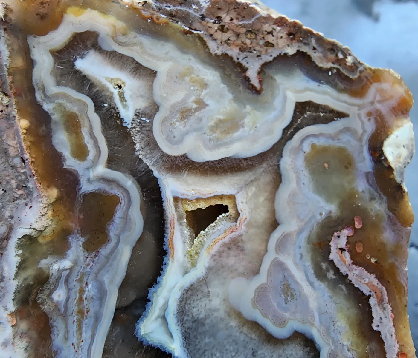 Picasso Portrait - Thunderegg