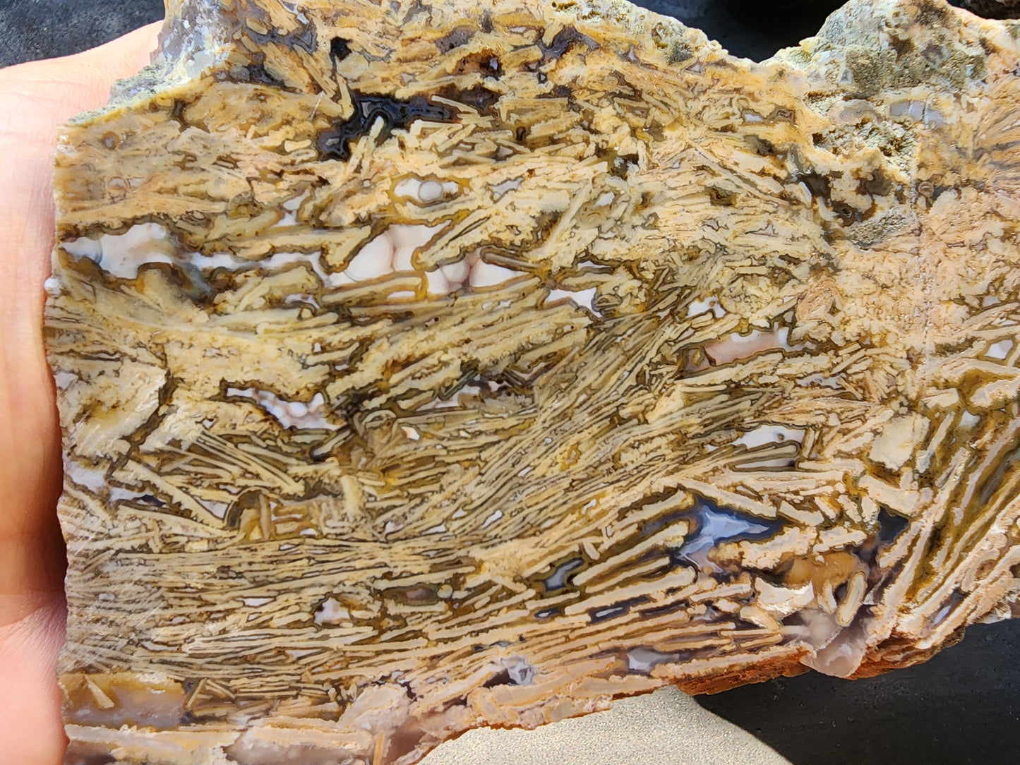 Big Agate Slab - #tag1# - #tag2#