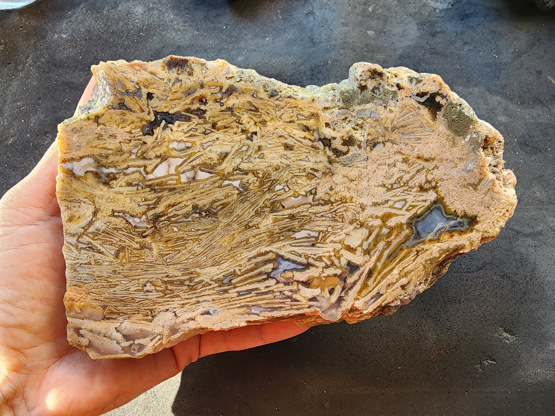 Big Agate Slab - #tag1# - #tag2#