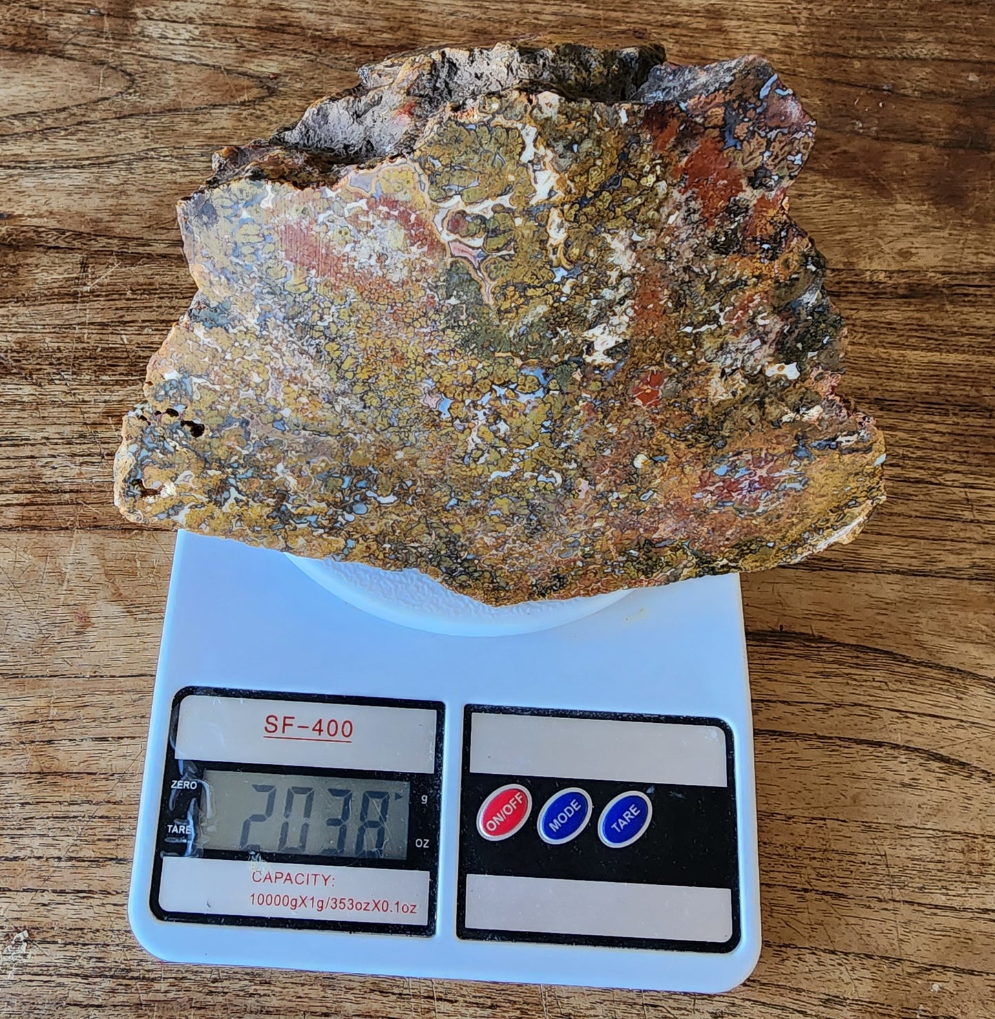 Large Plume Agate