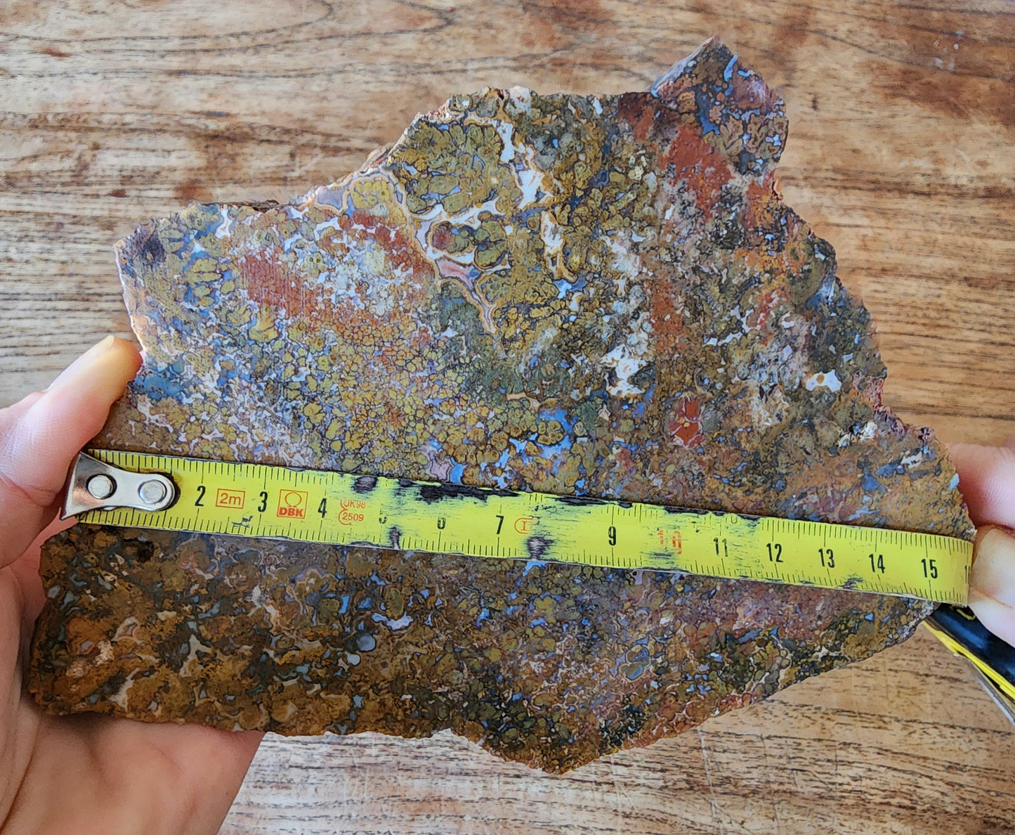 Large Plume Agate