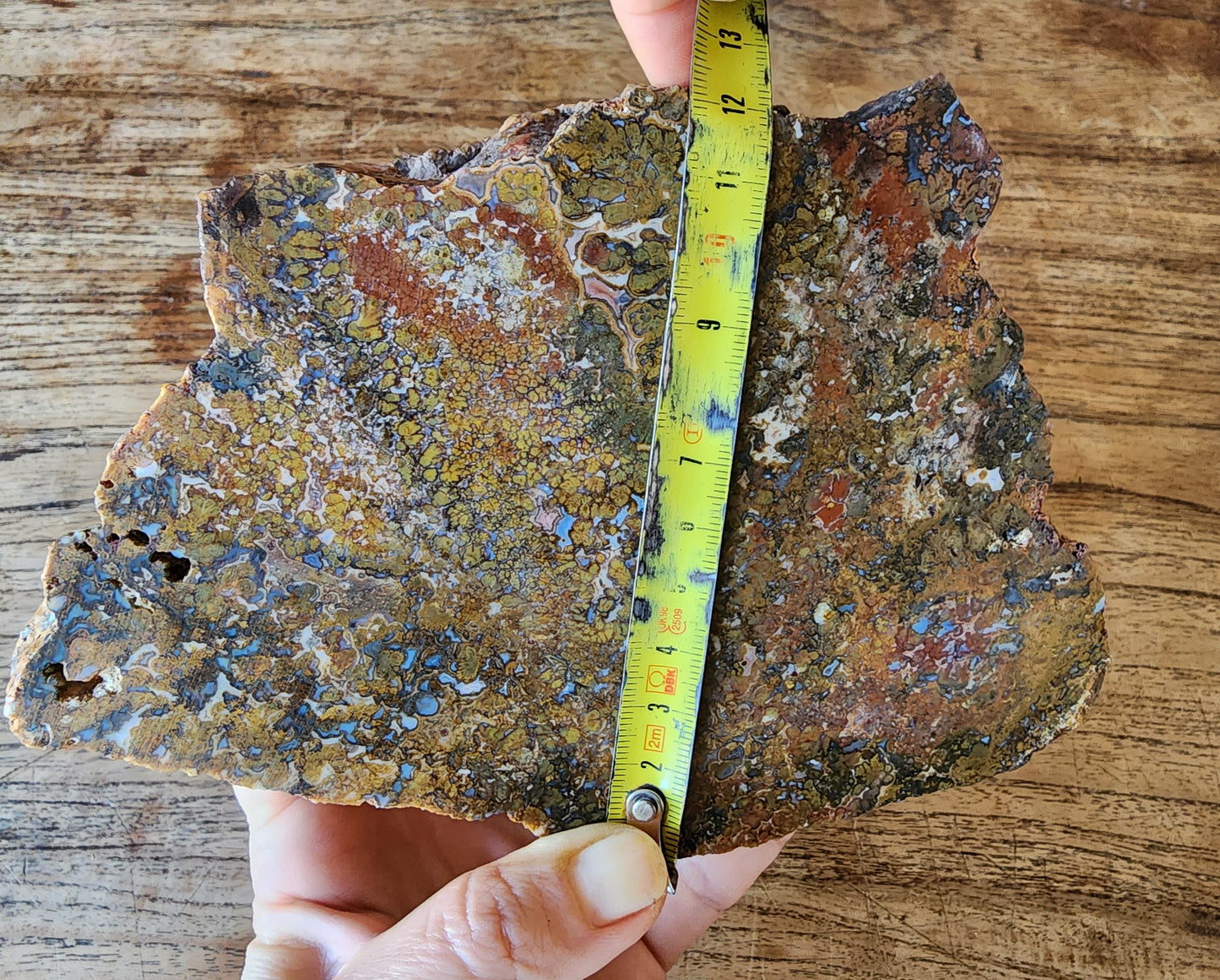 Large Plume Agate