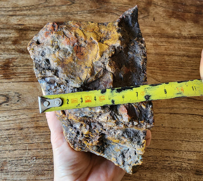 Large Plume Agate