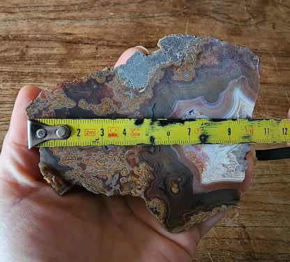 Plume Agate Pair