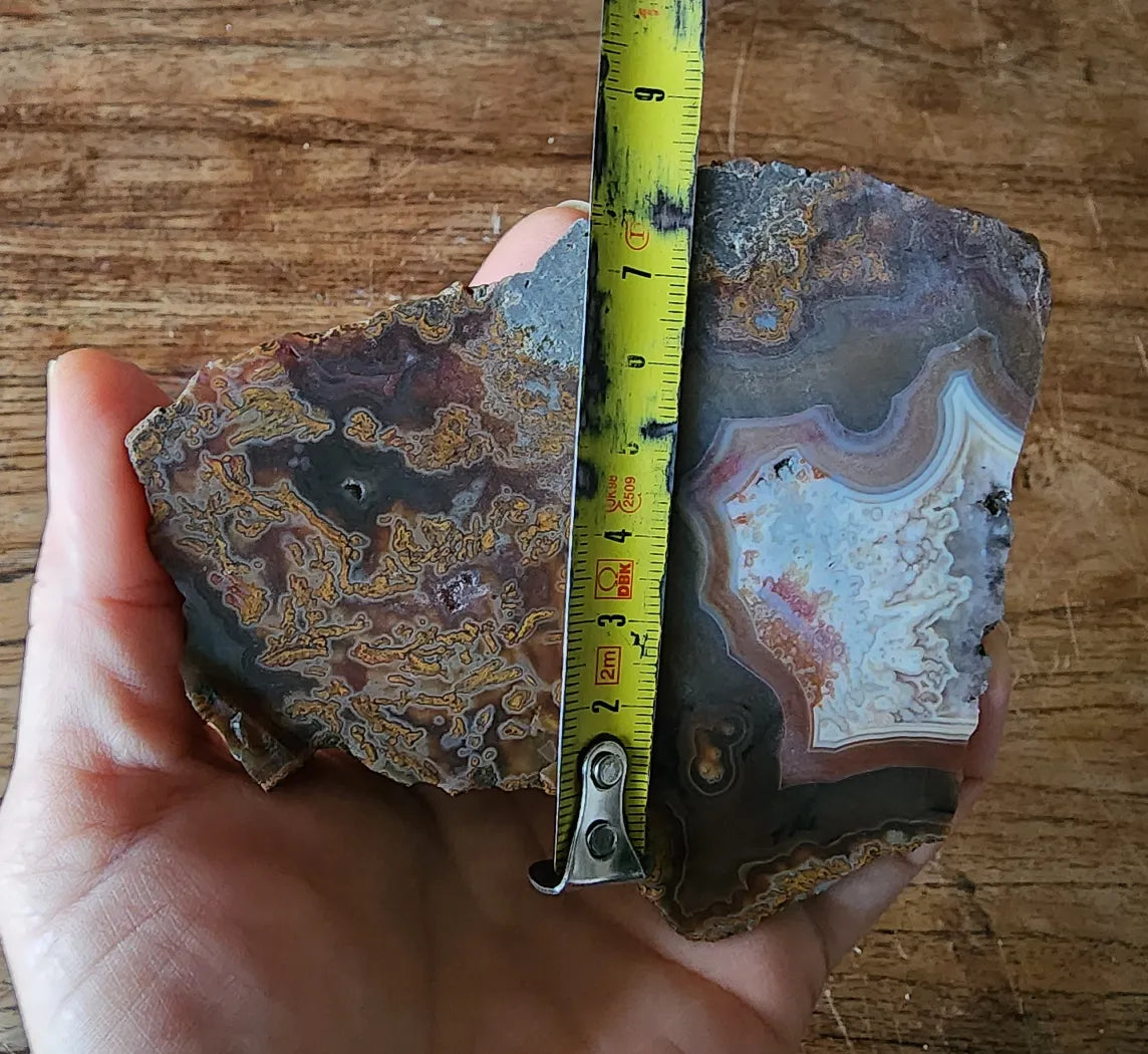 Plume Agate Pair