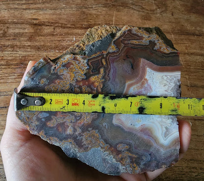 Plume Agate Pair