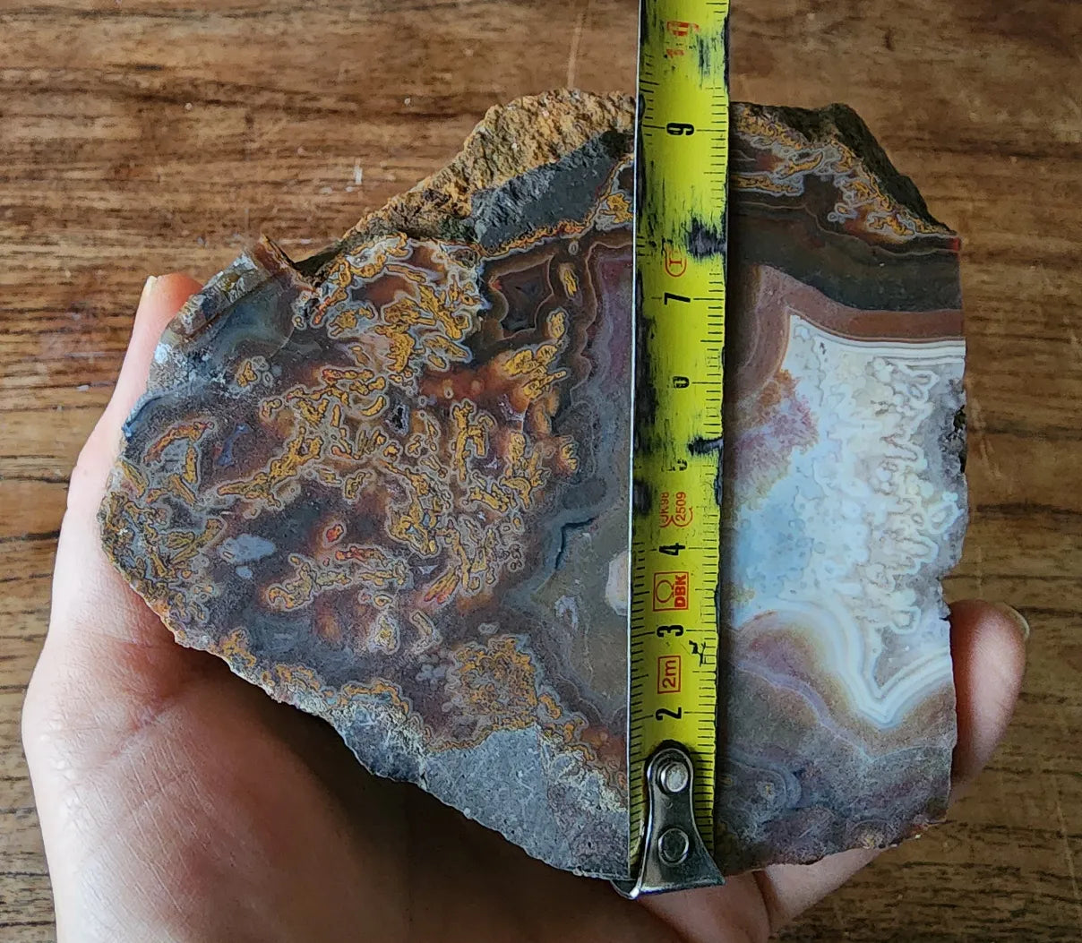 Plume Agate Pair