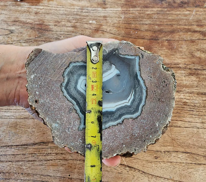 Viewing Stone Thunderegg