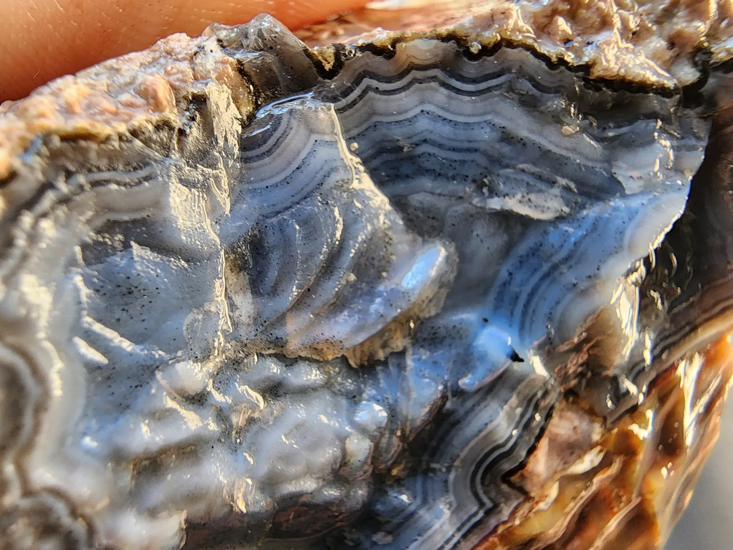 Blue Agate Pair