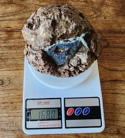 Uncut Thunder Egg - 3.7 Ibs