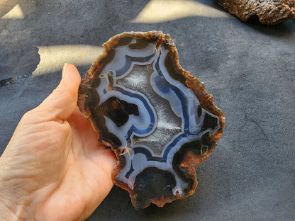 Blue Agate - Thunder Egg