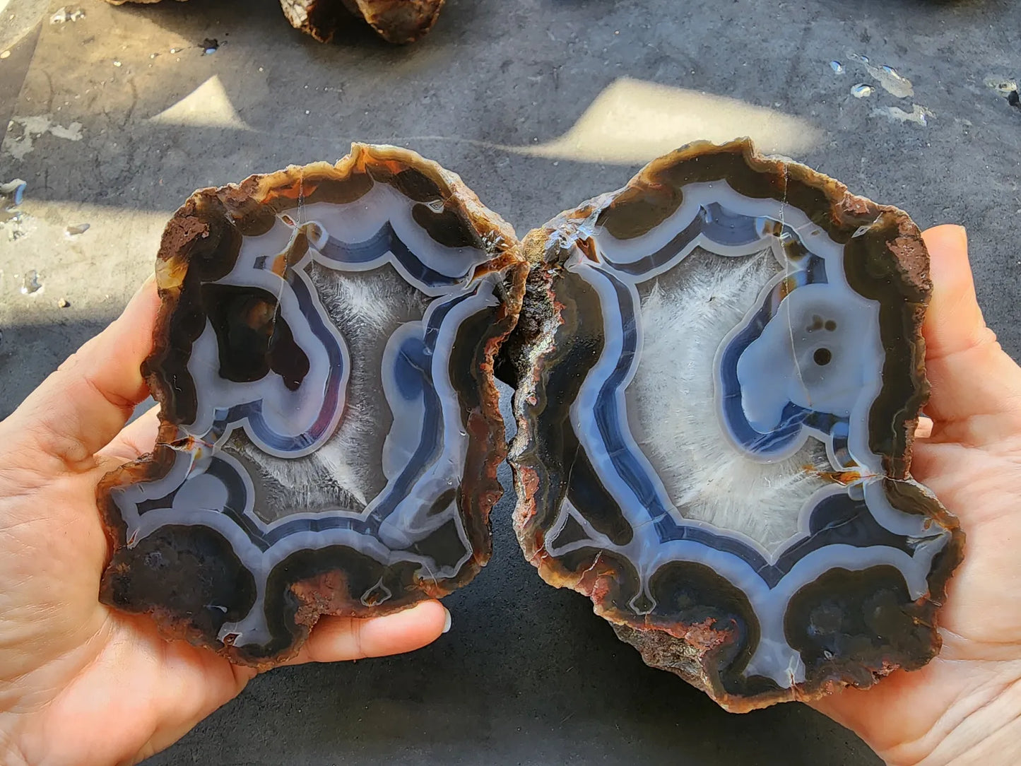 Blue Agate - Thunder Egg