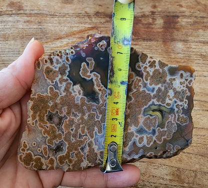 Plume Agate Rough