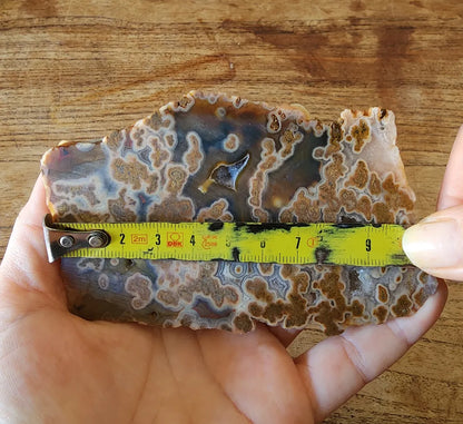 Plume Agate Rough