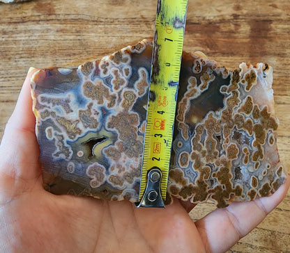 Plume Agate Rough