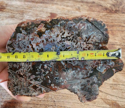 Natural Agate Display