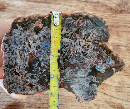 Natural Agate Display