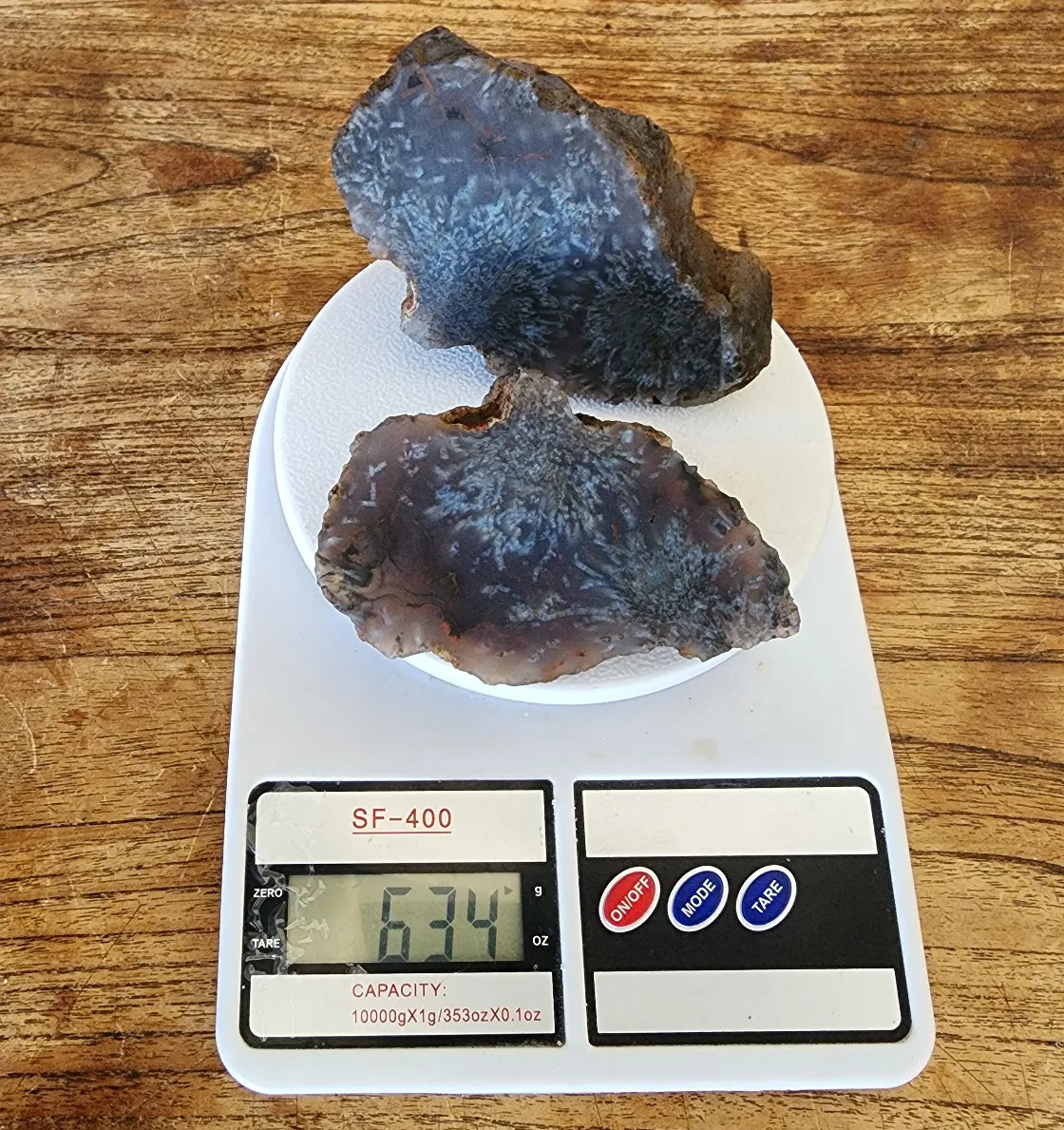 Sagenite Agate