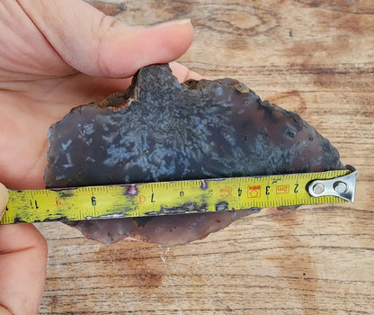 Sagenite Agate
