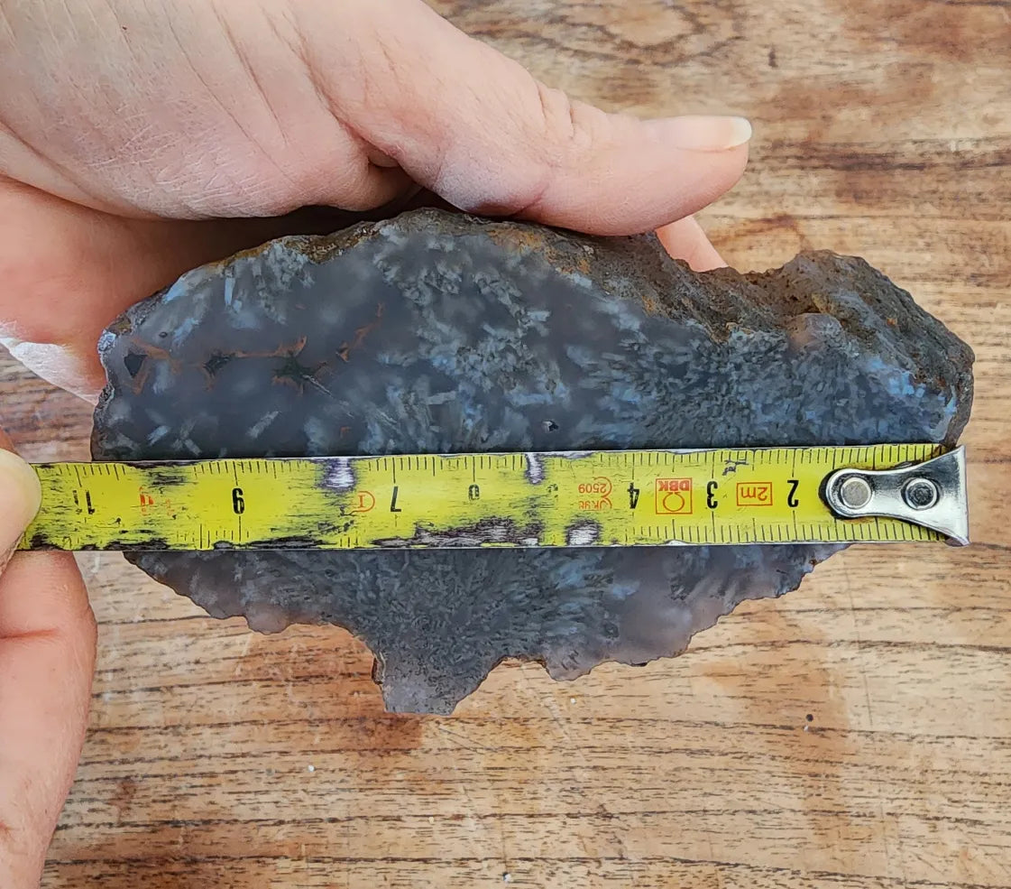 Sagenite Agate
