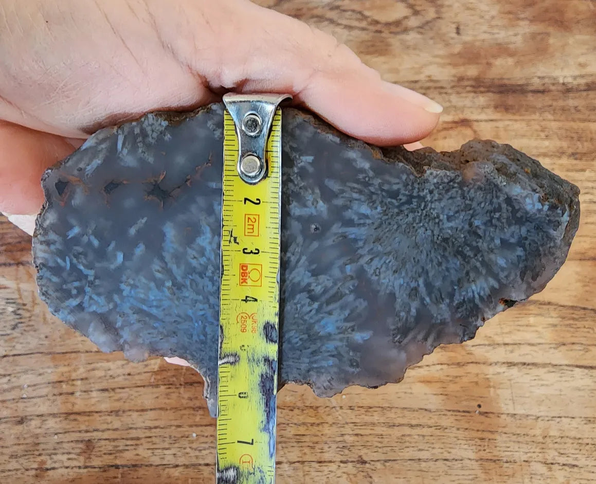 Sagenite Agate
