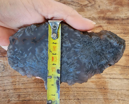 Sagenite Agate