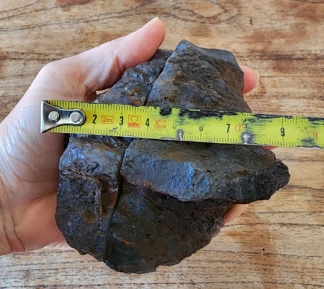 Sagenite Agate