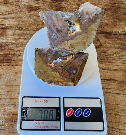 Stromatolite Fossil Agate