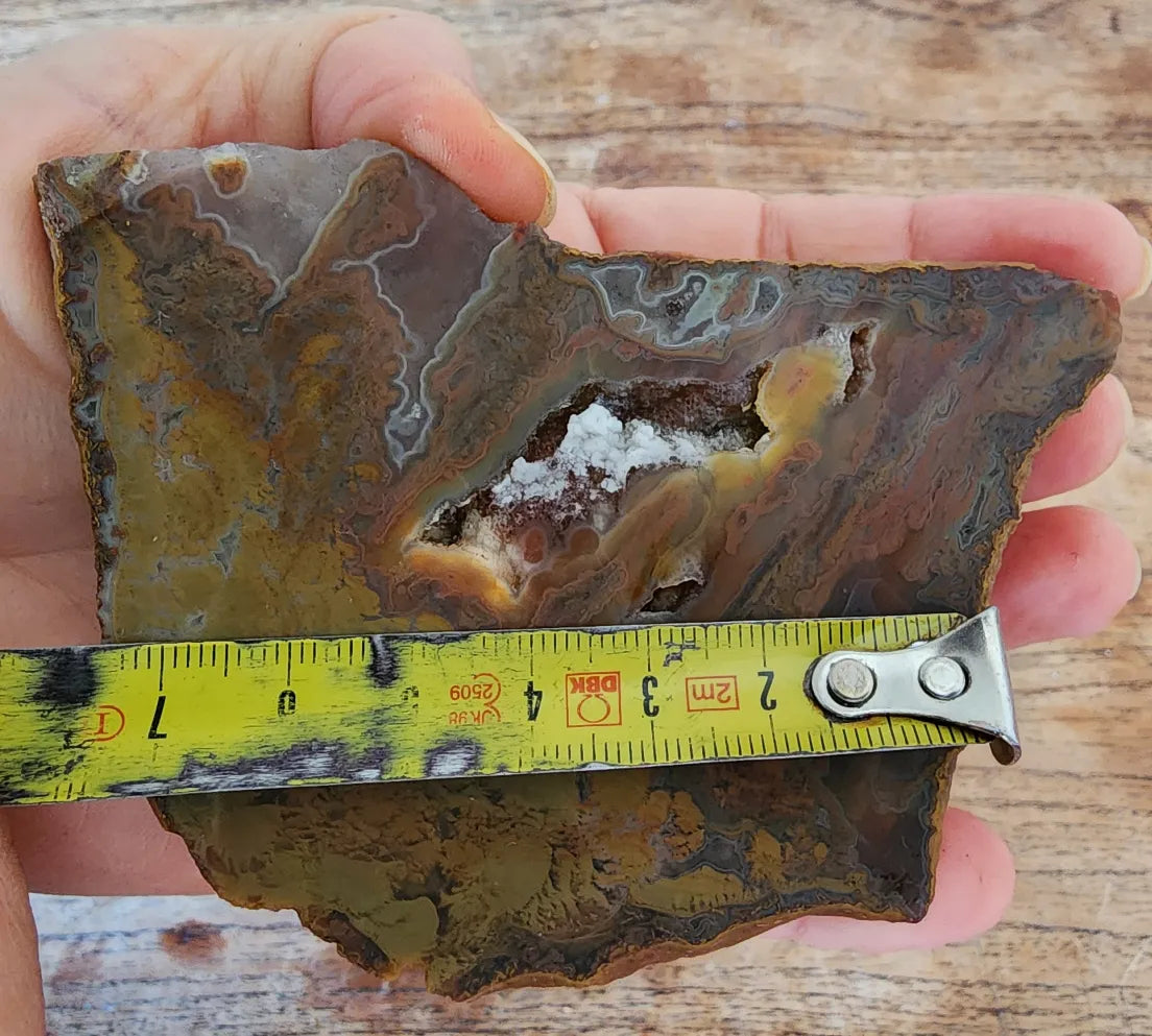 Stromatolite Fossil Agate