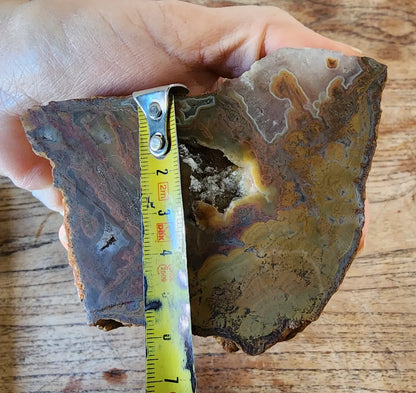 Stromatolite Fossil Agate