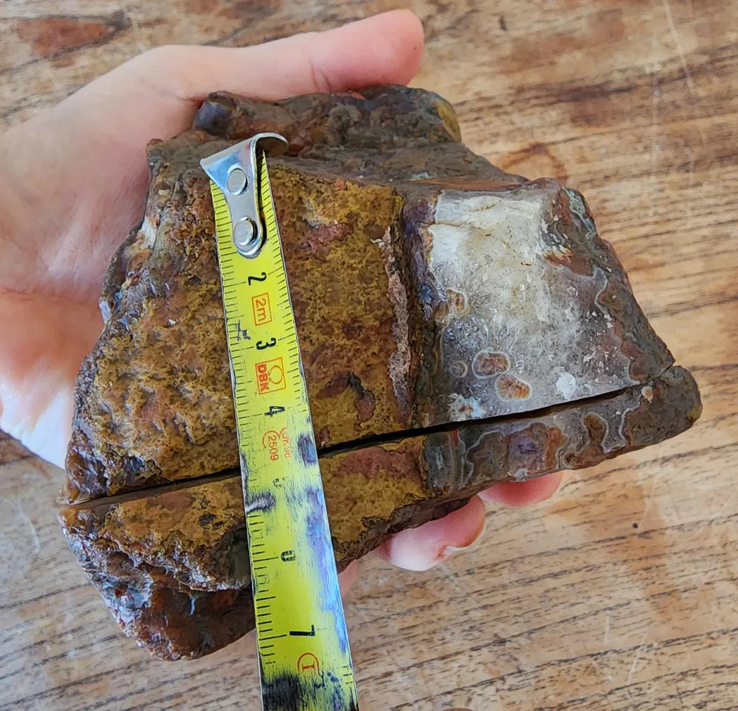 Stromatolite Fossil Agate