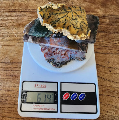 Agate Slice Lot