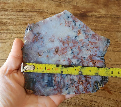 Agate Slice Lot