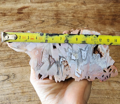 Large Decorative Rock