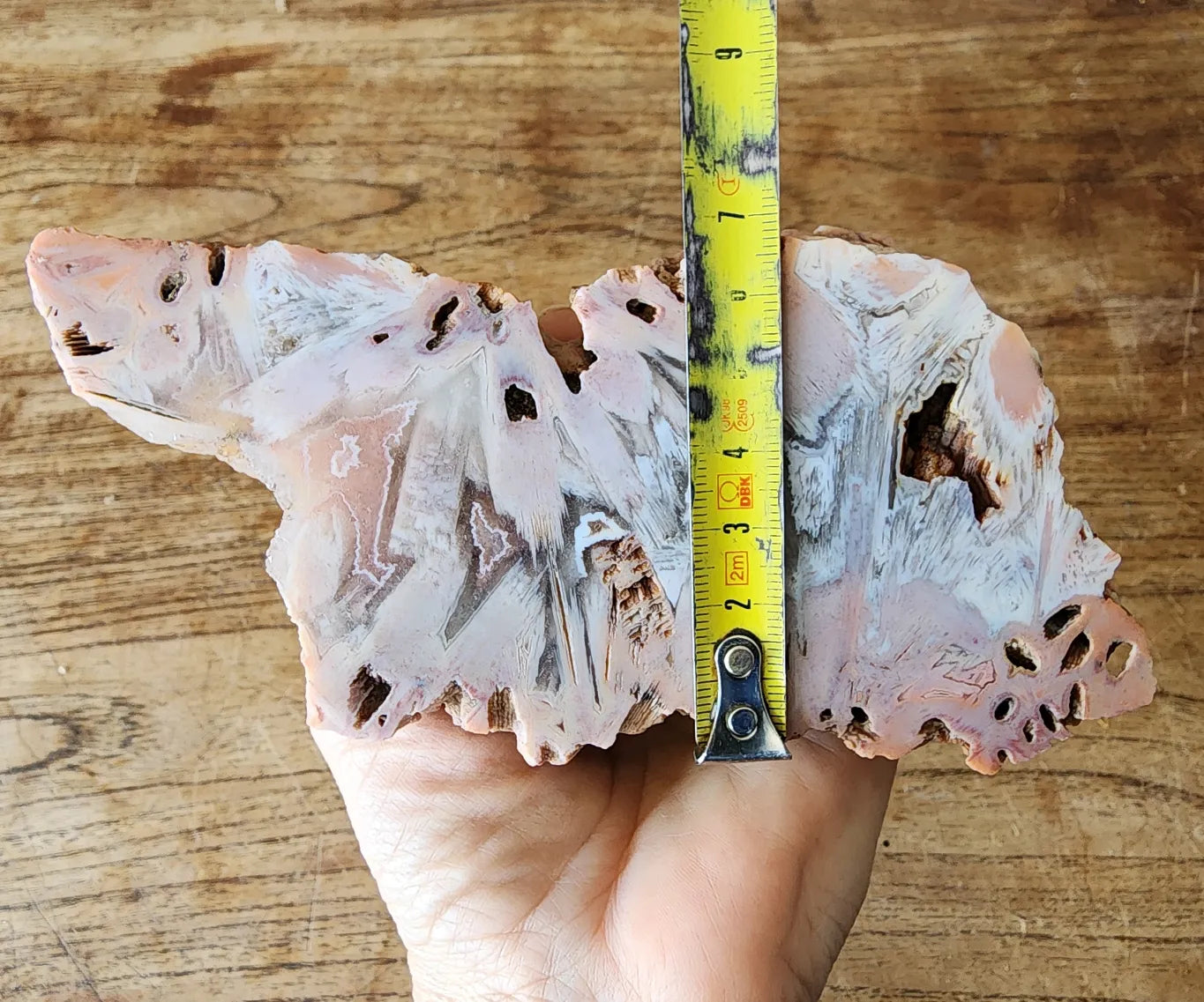 Large Decorative Rock