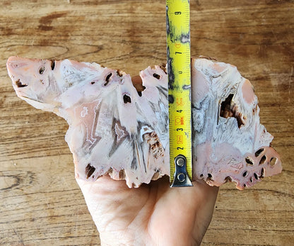 Large Decorative Rock
