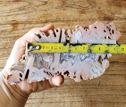 Large Decorative Rock