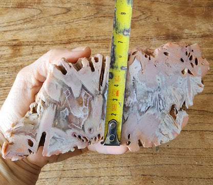 Large Decorative Rock