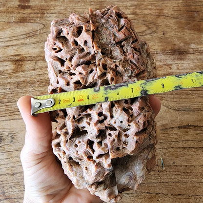Large Decorative Rock