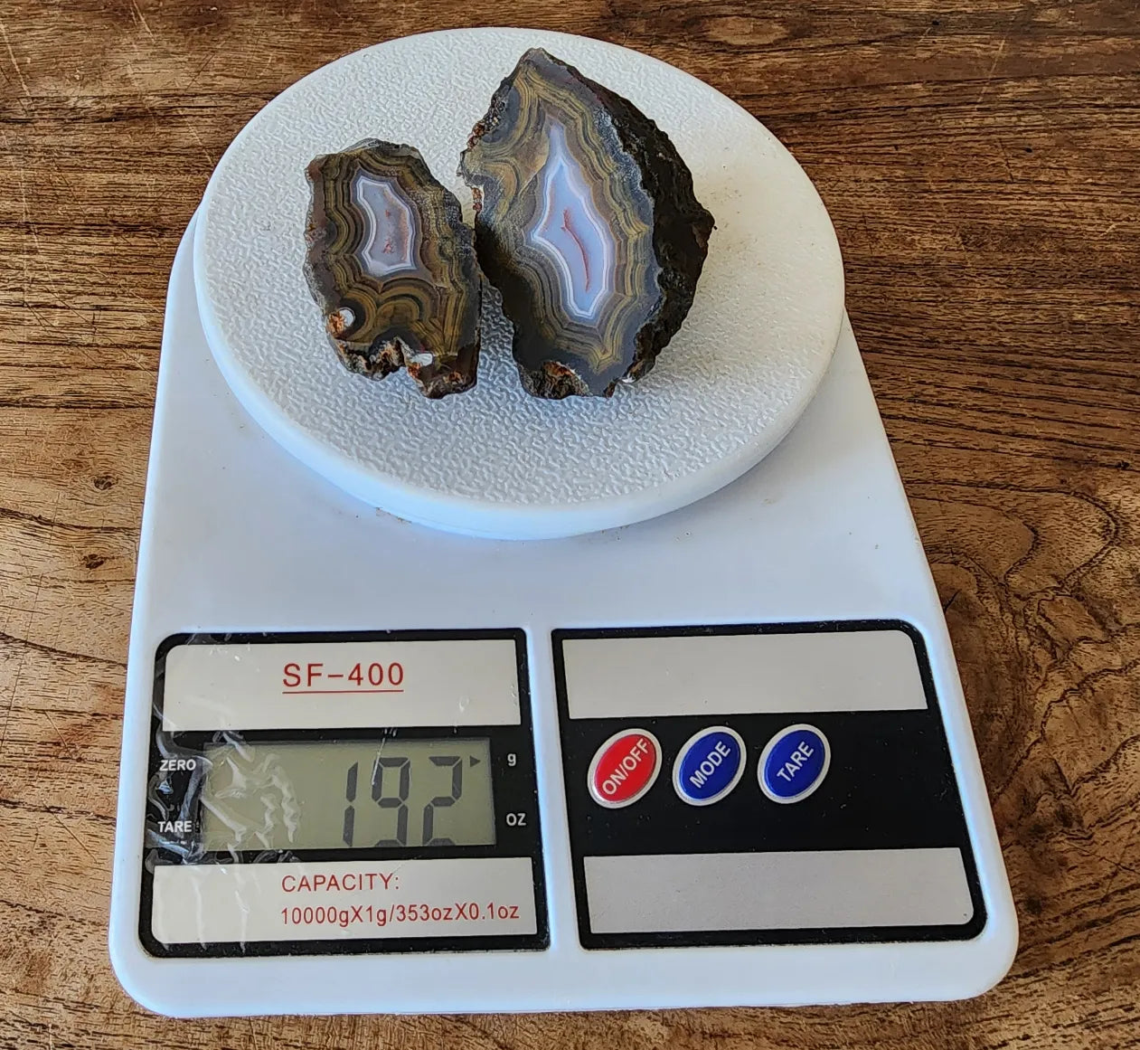 Blue & Green Fortification Agate