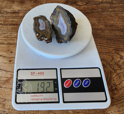 Blue & Green Fortification Agate