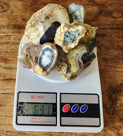 Dendritic Opal Rough Lot