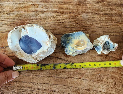 Dendritic Opal Rough Lot