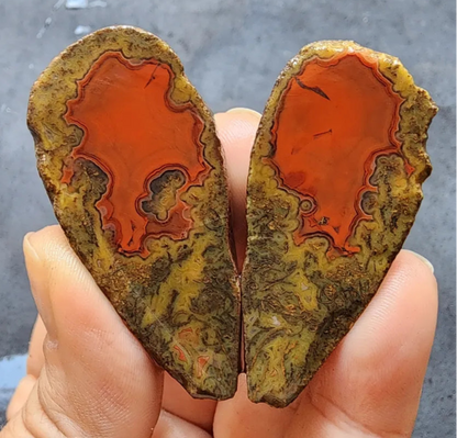 Red Agate - Red Cat