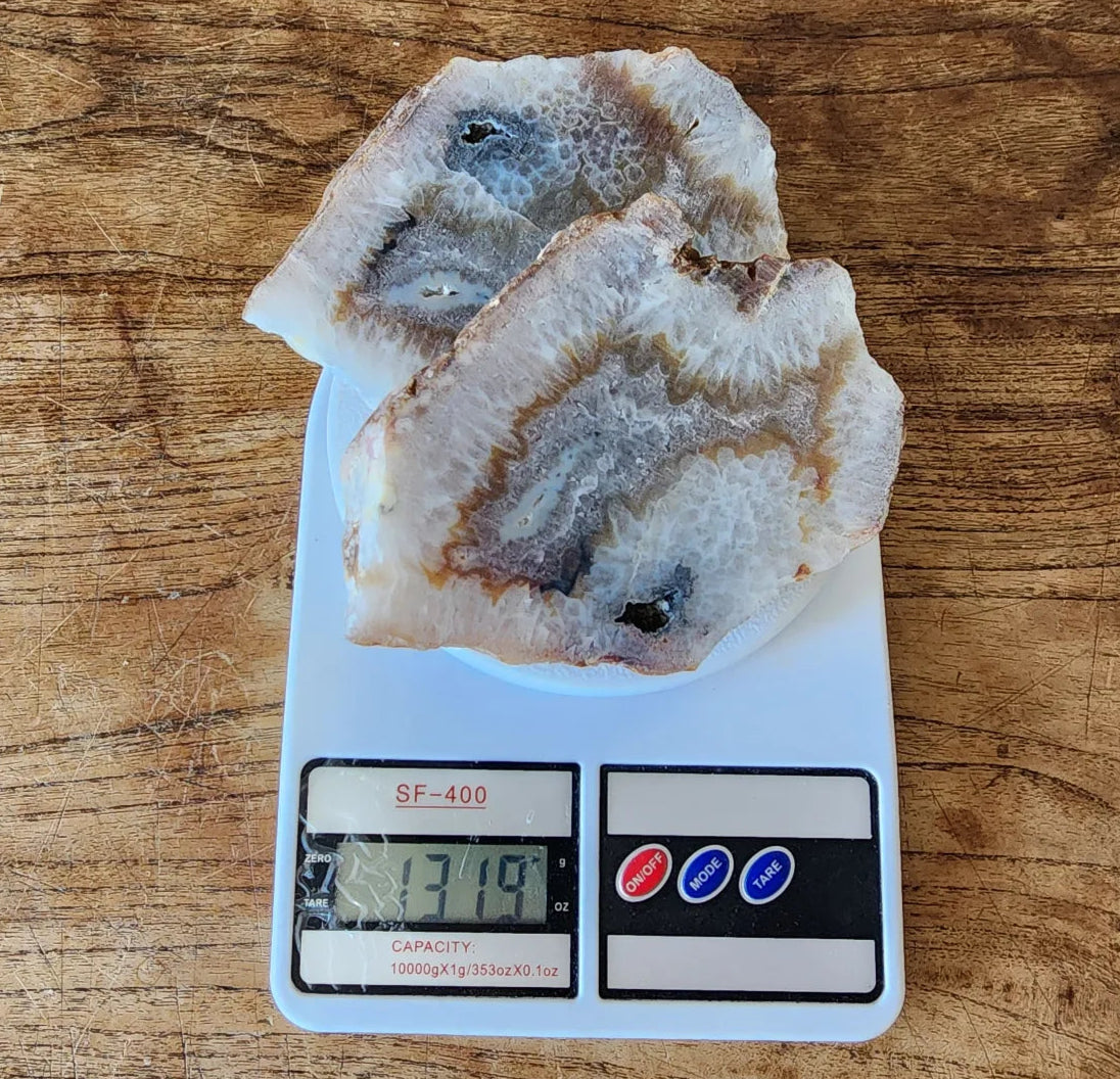 Crystal Agate- Crystal Fish